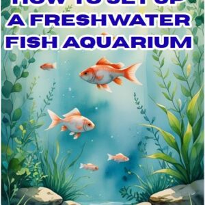 How To Set Up A Freshwater Fish Aquarium
