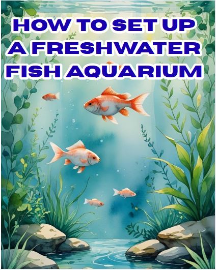 How To Set Up A Freshwater Fish Aquarium